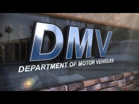 Florida DMV records