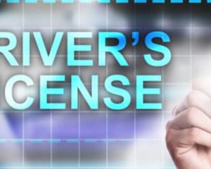 drivers-license-in-florida